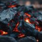 Steamy Coal